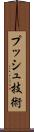 プッシュ技術 Scroll