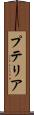 プテリア Scroll