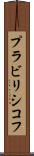 プラビリシコフ Scroll