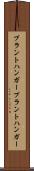 プラントハンガー Scroll