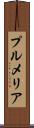 プルメリア Scroll
