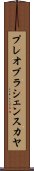 プレオブラシェンスカヤ Scroll