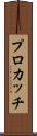 プロカッチ Scroll