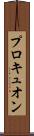 プロキュオン Scroll