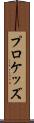 プロケッズ Scroll