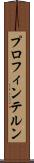プロフィンテルン Scroll