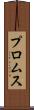 プロムス Scroll