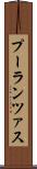 プーランツァス Scroll
