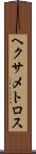 ヘクサメトロス Scroll