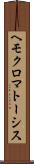 ヘモクロマトーシス Scroll