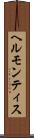 ヘルモンティス Scroll