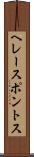 ヘレースポントス Scroll
