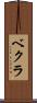 ベクラ Scroll