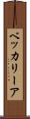 ベッカリーア Scroll