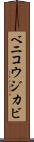 ベニコウジカビ Scroll