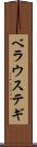 ベラウステギ Scroll