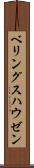 ベリングスハウゼン Scroll