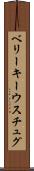 ベリーキーウスチュグ Scroll