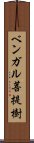 ベンガル菩提樹 Scroll