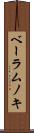 ベーラムノキ Scroll