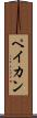ペイカン Scroll