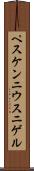 ペスケンニウス・ニゲル Scroll