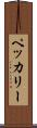 ペッカリー Scroll
