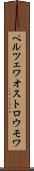 ペルツェワオストロウモワ Scroll