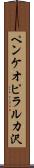 ペンケオピラルカ沢 Scroll
