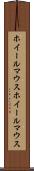 ホイールマウス Scroll