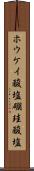 ホウケイ酸塩 Scroll