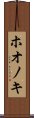 ホオノキ Scroll