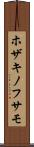 ホザキノフサモ Scroll