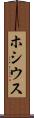 ホシウス Scroll
