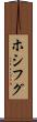 ホシフグ Scroll