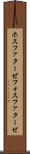 ホスファターゼ Scroll