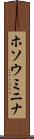 ホソウミニナ Scroll