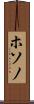 ホソノ Scroll
