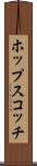 ホップスコッチ Scroll