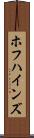 ホフハインズ Scroll