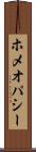 ホメオパシー Scroll
