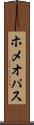 ホメオパス Scroll