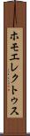 ホモ・エレクトゥス Scroll
