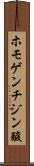 ホモゲンチジン酸 Scroll