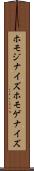 ホモジナイズ Scroll