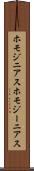 ホモジニアス Scroll