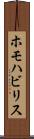 ホモハビリス Scroll