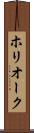 ホリオーク Scroll