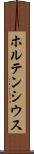 ホルテンシウス Scroll