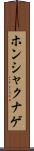 ホンシャクナゲ Scroll
